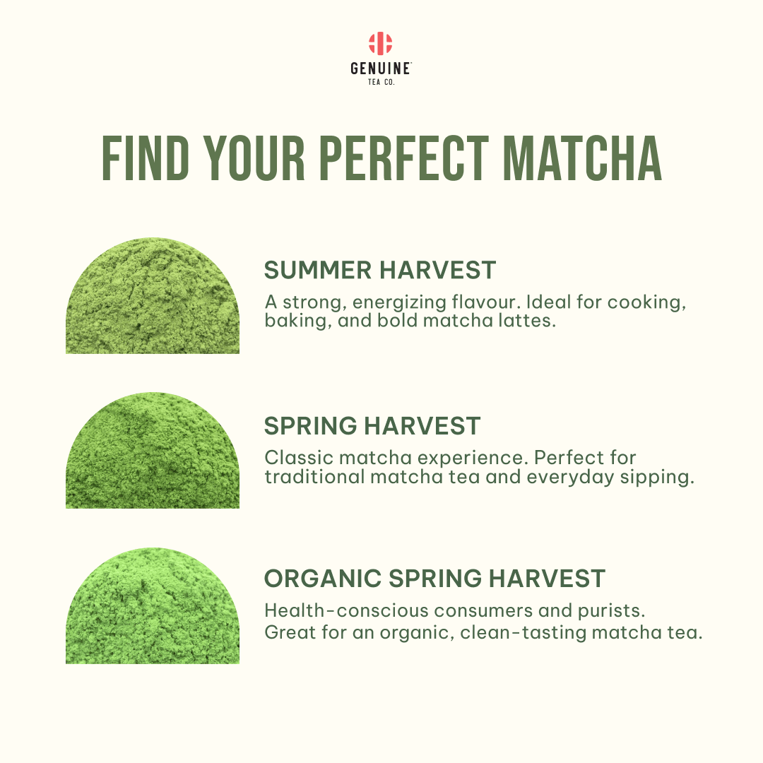 Kato Matcha Summer Harvest - Genuine Tea